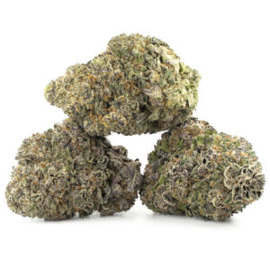 Gelato