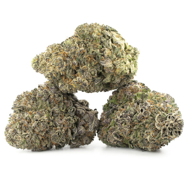 Gelato