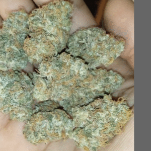 Blue Hill Auto Hybrid Cannabis Seeds